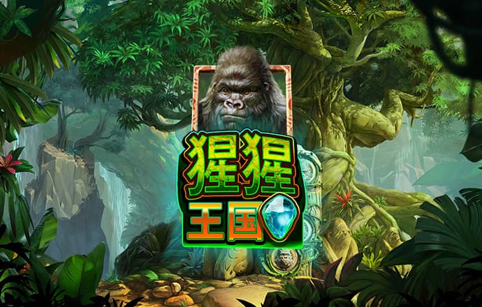 安博app是正规的嘛